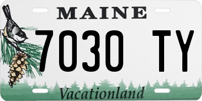 ME license plate 7030TY