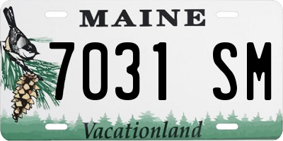 ME license plate 7031SM