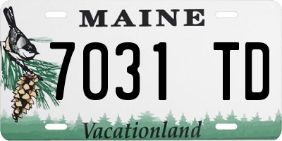 ME license plate 7031TD