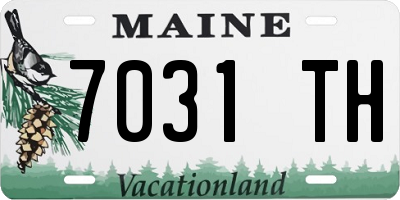 ME license plate 7031TH