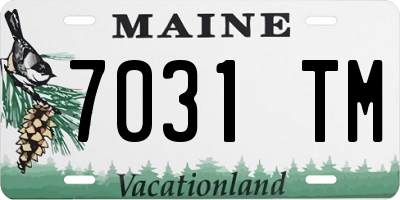 ME license plate 7031TM