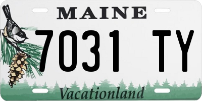 ME license plate 7031TY