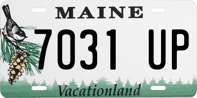 ME license plate 7031UP
