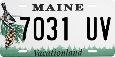 ME license plate 7031UV