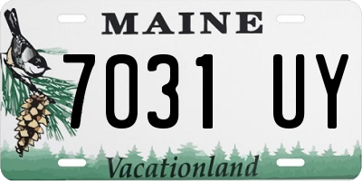 ME license plate 7031UY