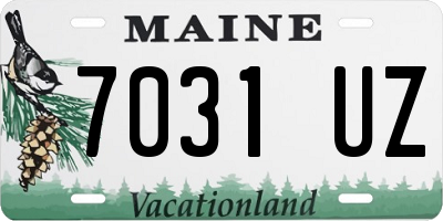 ME license plate 7031UZ