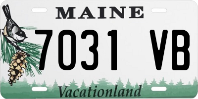ME license plate 7031VB