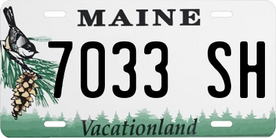 ME license plate 7033SH