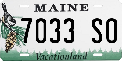 ME license plate 7033SO
