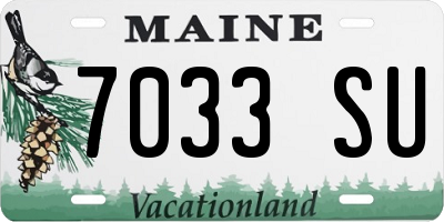ME license plate 7033SU
