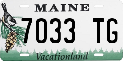 ME license plate 7033TG