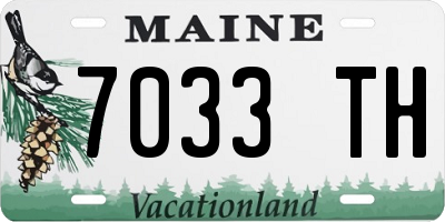 ME license plate 7033TH