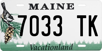ME license plate 7033TK