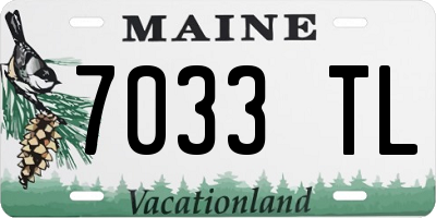 ME license plate 7033TL