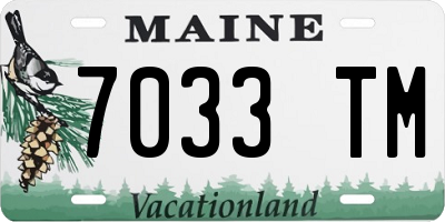 ME license plate 7033TM