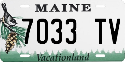 ME license plate 7033TV