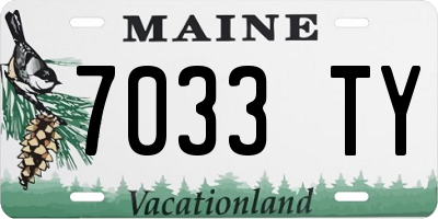 ME license plate 7033TY