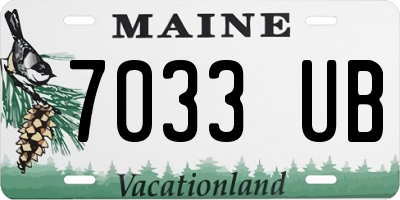 ME license plate 7033UB