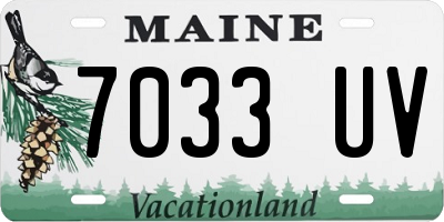 ME license plate 7033UV