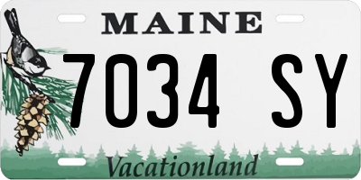 ME license plate 7034SY