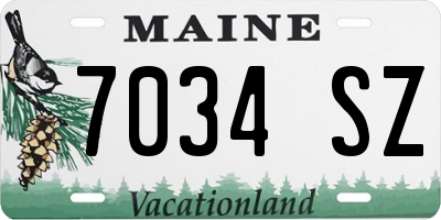 ME license plate 7034SZ