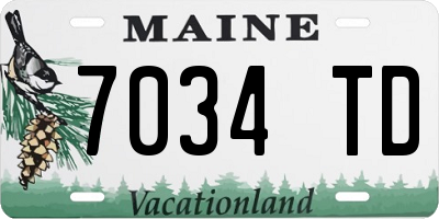ME license plate 7034TD