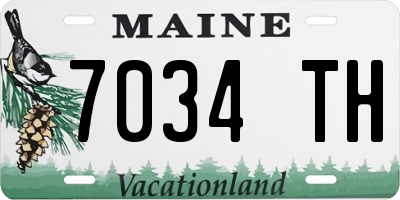 ME license plate 7034TH