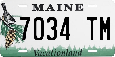 ME license plate 7034TM