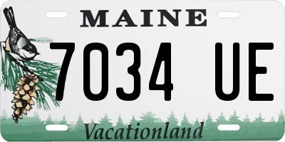 ME license plate 7034UE