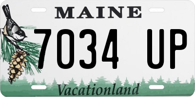 ME license plate 7034UP