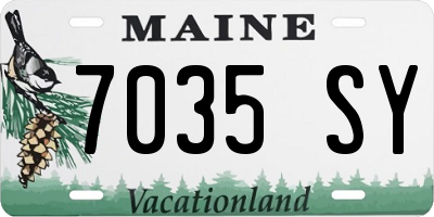 ME license plate 7035SY