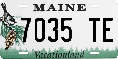 ME license plate 7035TE