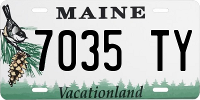 ME license plate 7035TY