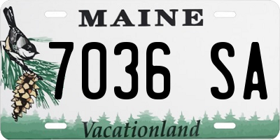 ME license plate 7036SA