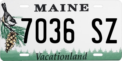 ME license plate 7036SZ