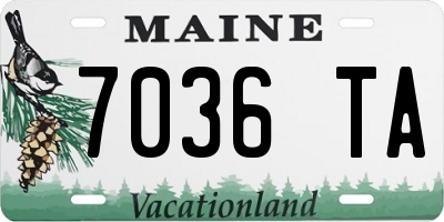 ME license plate 7036TA