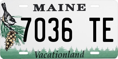 ME license plate 7036TE