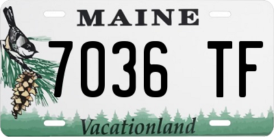 ME license plate 7036TF