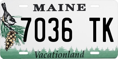 ME license plate 7036TK