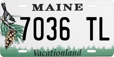 ME license plate 7036TL