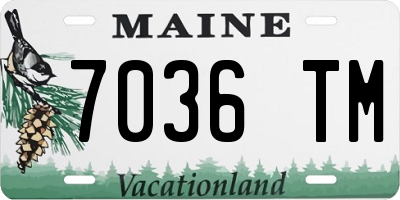 ME license plate 7036TM