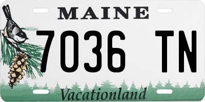 ME license plate 7036TN
