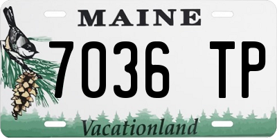 ME license plate 7036TP