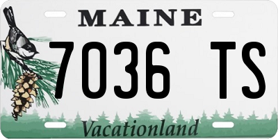 ME license plate 7036TS