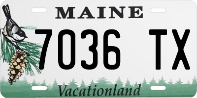 ME license plate 7036TX