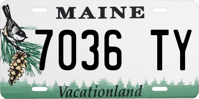 ME license plate 7036TY