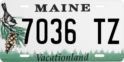ME license plate 7036TZ