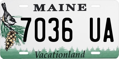 ME license plate 7036UA