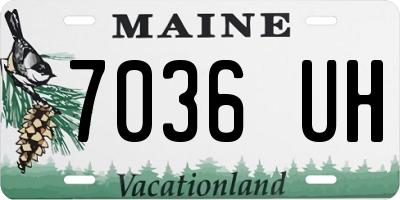 ME license plate 7036UH