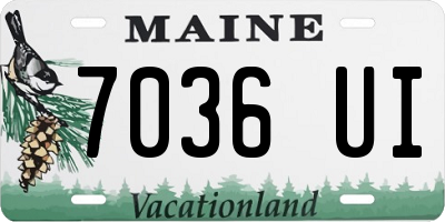 ME license plate 7036UI